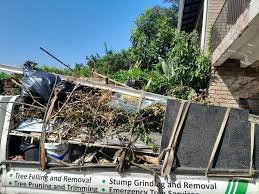 Best Moving and Downsizing Cleanouts  in Red Bank, SC